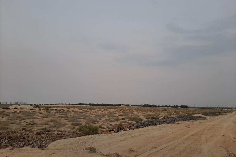 مزرعة للبيع في الاحساء